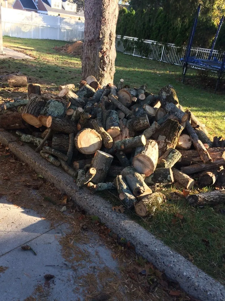 Trusted yard maintenance experts serving Hammonton, NJ - D.P.A Lawns & Landscaping LLC.