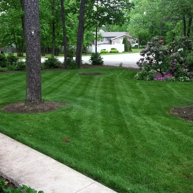 Local outdoor landscaping in Hammonton, NJ by D.P.A Lawns & Landscaping LLC.