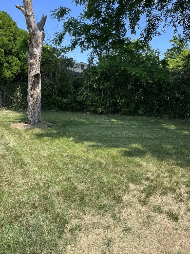 Professional lawn mowing service experts serving Forest Heights, MD - DPC Landscaping and Transportation