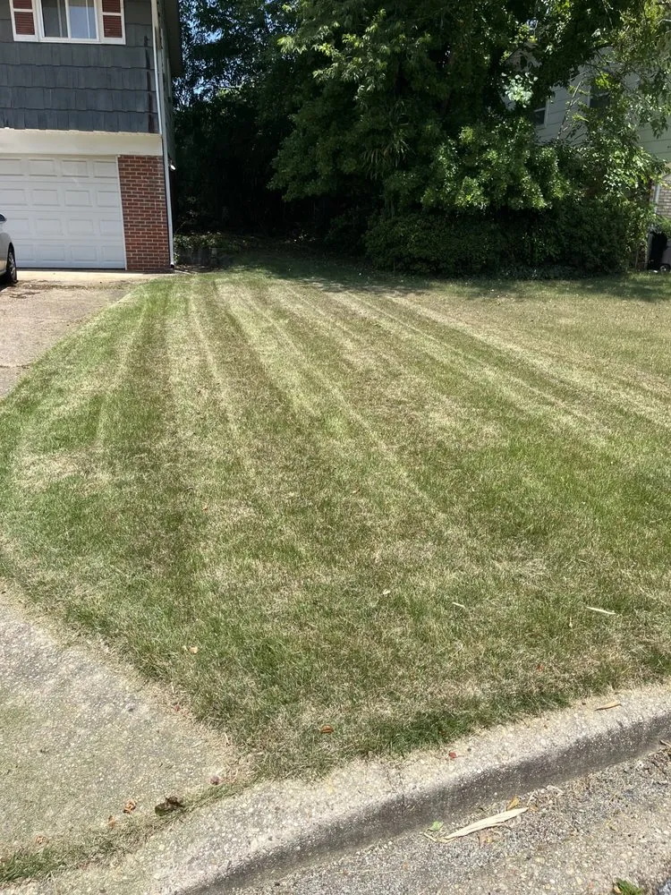 Expert residential landscaping for year-round maintenance in Forest Heights, MD by DPC Landscaping and Transportation