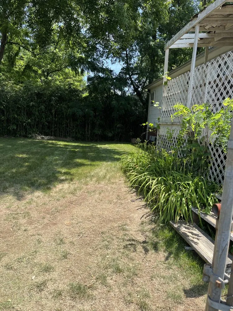 Affordable landscaping services experts serving Forest Heights, MD - DPC Landscaping and Transportation