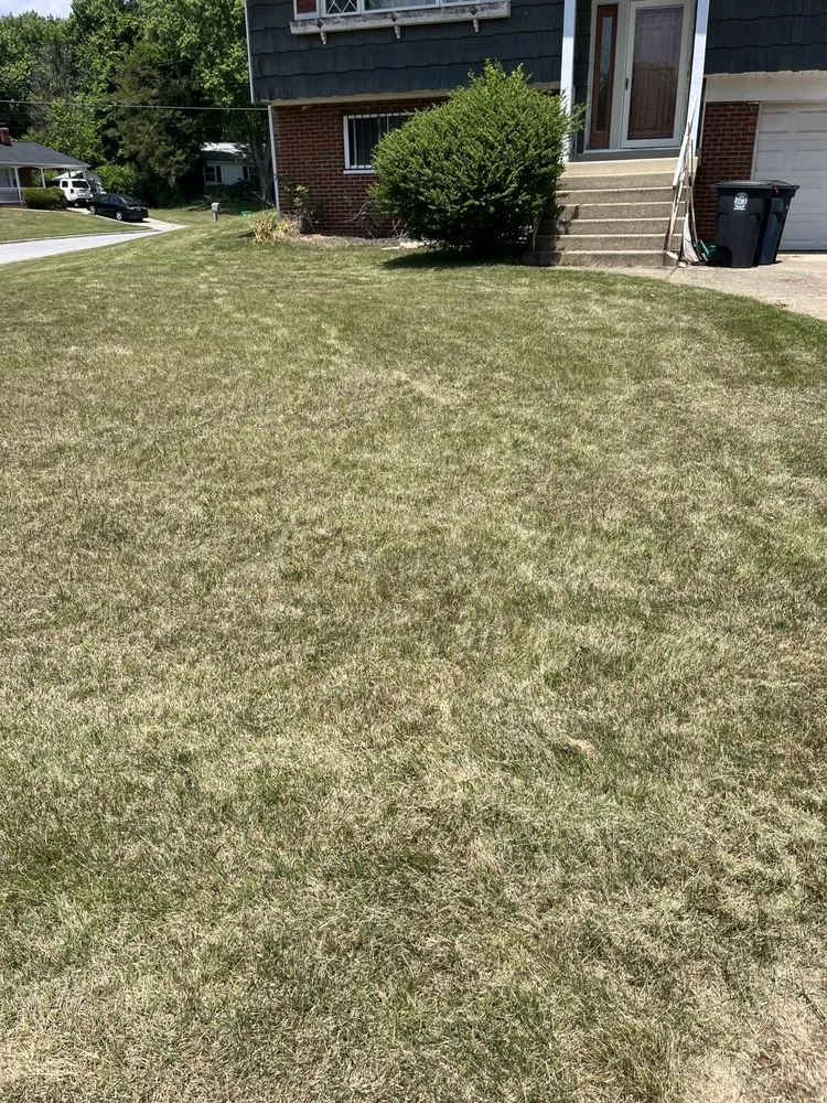 Reliable yard cleanup service for homes across Forest Heights, MD - DPC Landscaping and Transportation