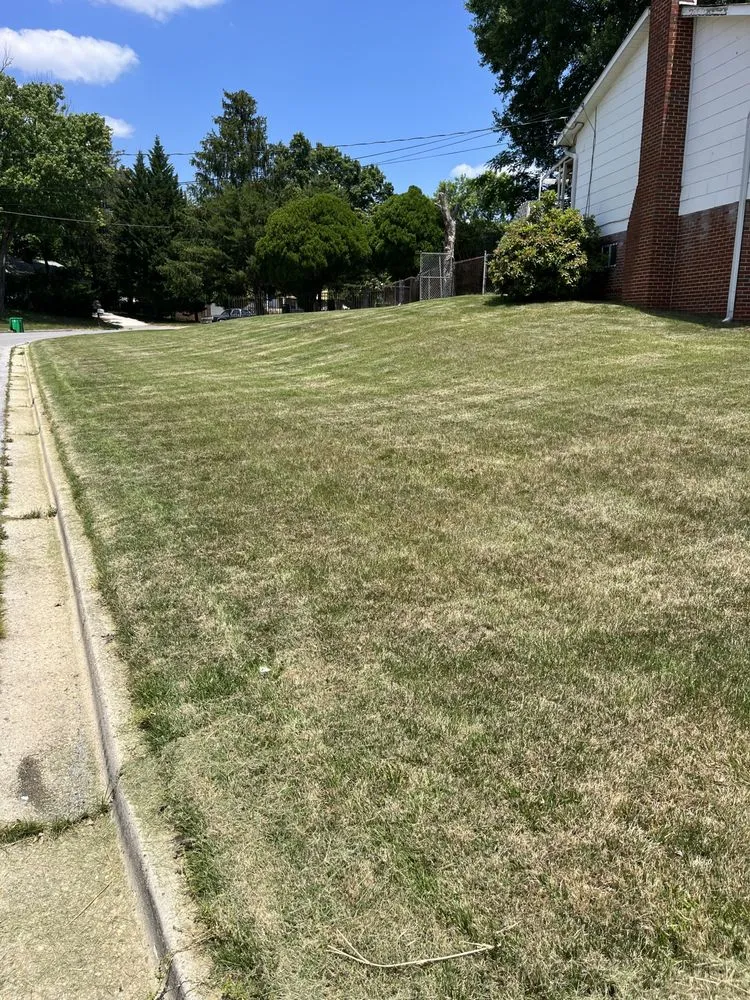 Reliable lawn mowing service near you across Forest Heights, MD - DPC Landscaping and Transportation