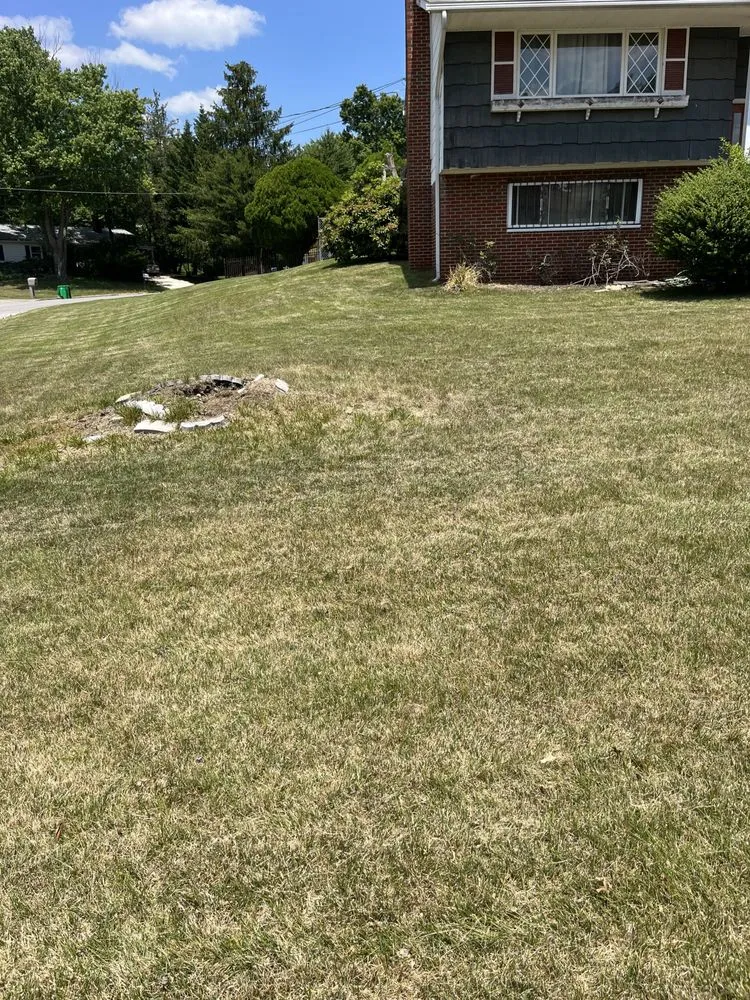 Custom lawn mowing service for beautiful yards across Forest Heights, MD - DPC Landscaping and Transportation