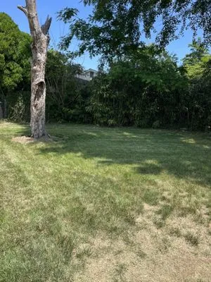 DPC Landscaping and Transportation Logo