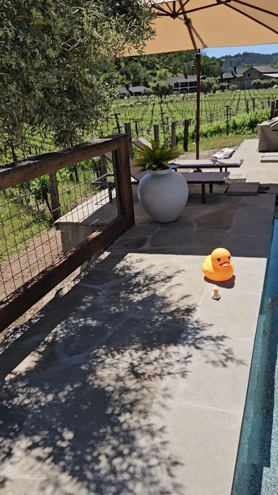 Trusted landscape installation for year-round maintenance across Oakley, CA - DPG Pavers and Design