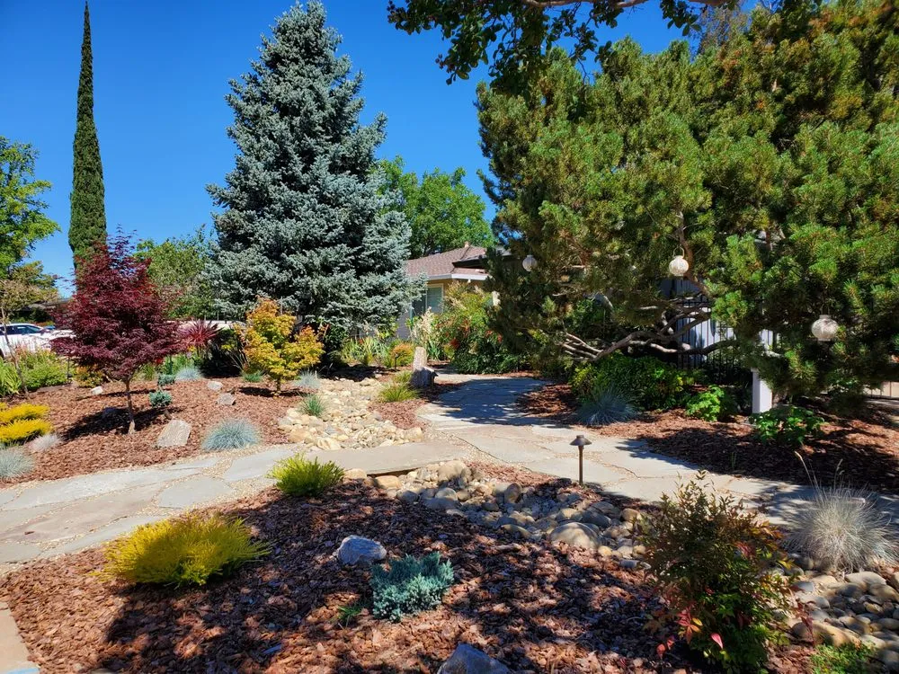 Reliable landscape installation experts serving Walnut Creek, CA - DPG Pavers and Design