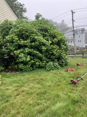 DPZ Landscaping & Masonry