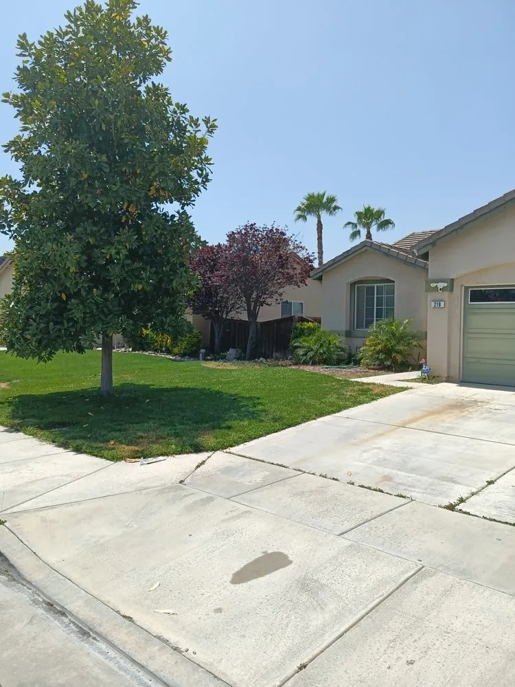 Professional lawn care service with custom design across Hemet, CA - DQ Landscaping and Construction