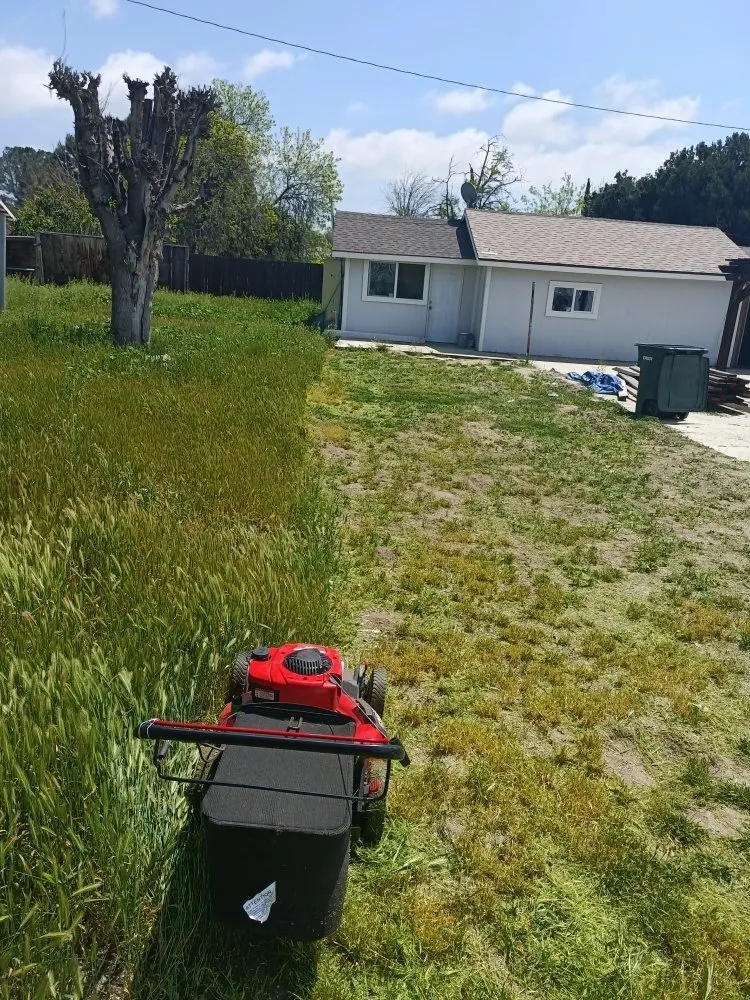 Affordable lawn care service for outdoor upgrades in Hemet, CA by DQ Landscaping and Construction