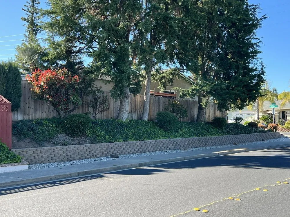 Professional landscape installation for beautiful yards in San Ramon, CA by D&R Concrete and Masonry