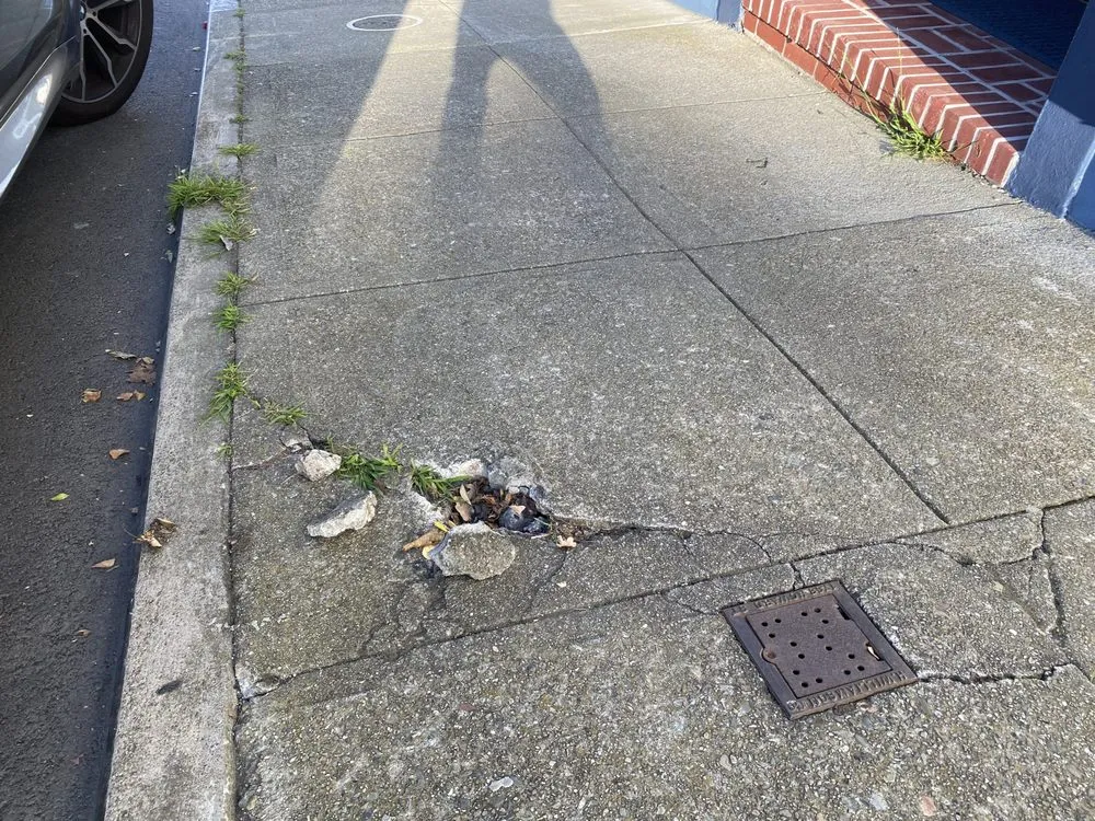 Expert outdoor landscaping near you in San Ramon, CA by D&R Concrete and Masonry