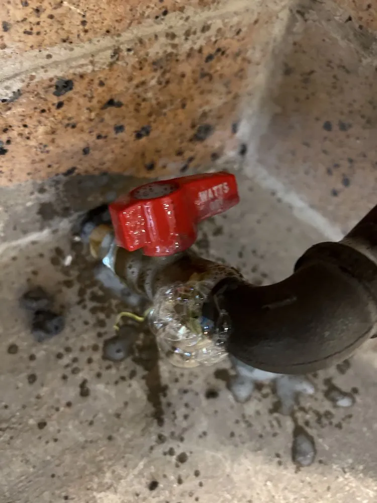 Expert landscape design in Waco, TX - DR Construction & Landscaping.