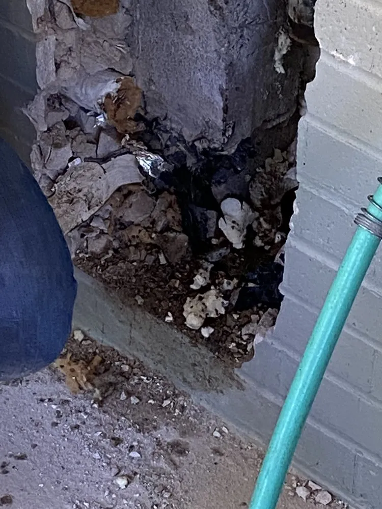 Custom lawn care service near you in Waco, TX by DR Construction & Landscaping.