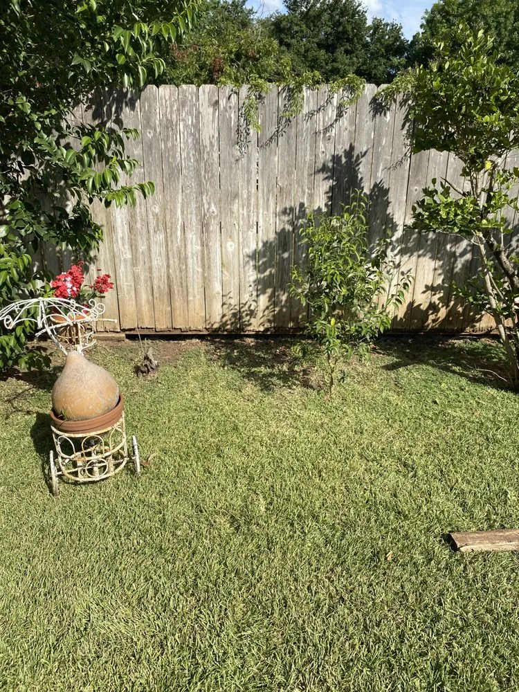 Trusted yard maintenance for outdoor upgrades across Waco, TX - DR Construction & Landscaping.