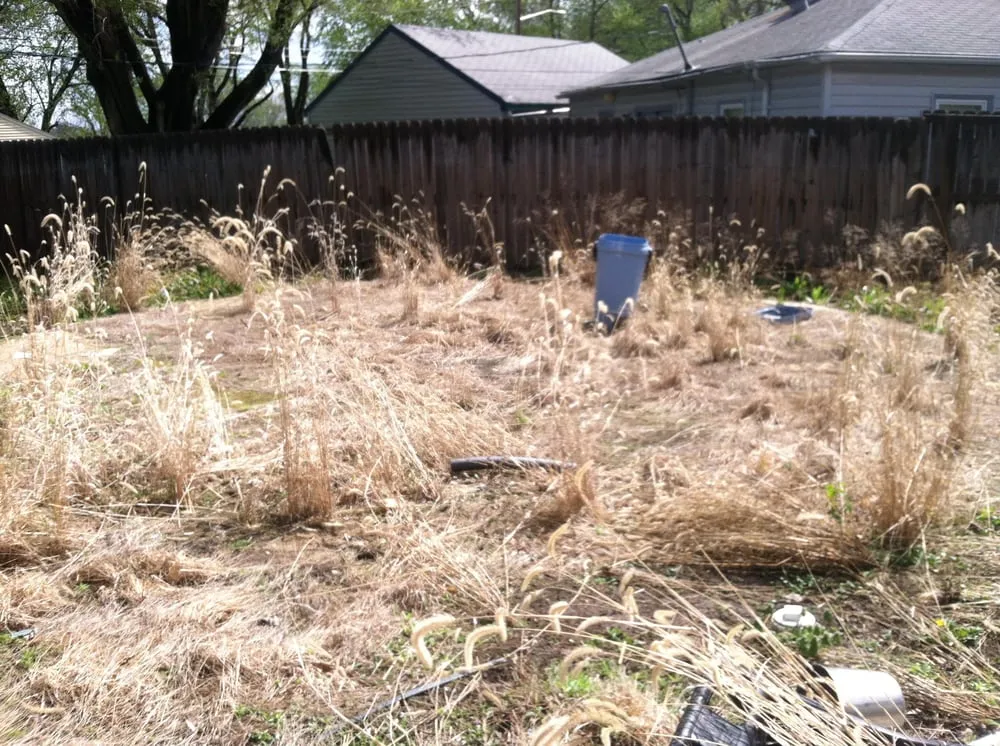 Top-rated landscape design in Shawnee, KS by Dr D Lawn Care