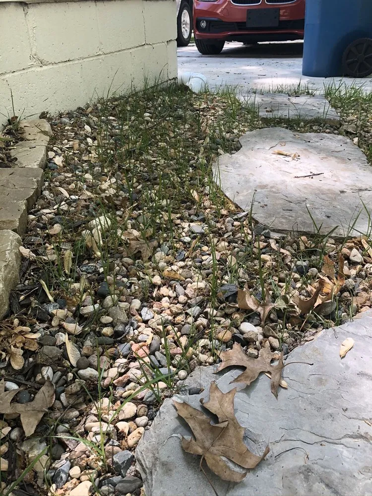 Trusted yard maintenance in Shawnee, KS by Dr D Lawn Care