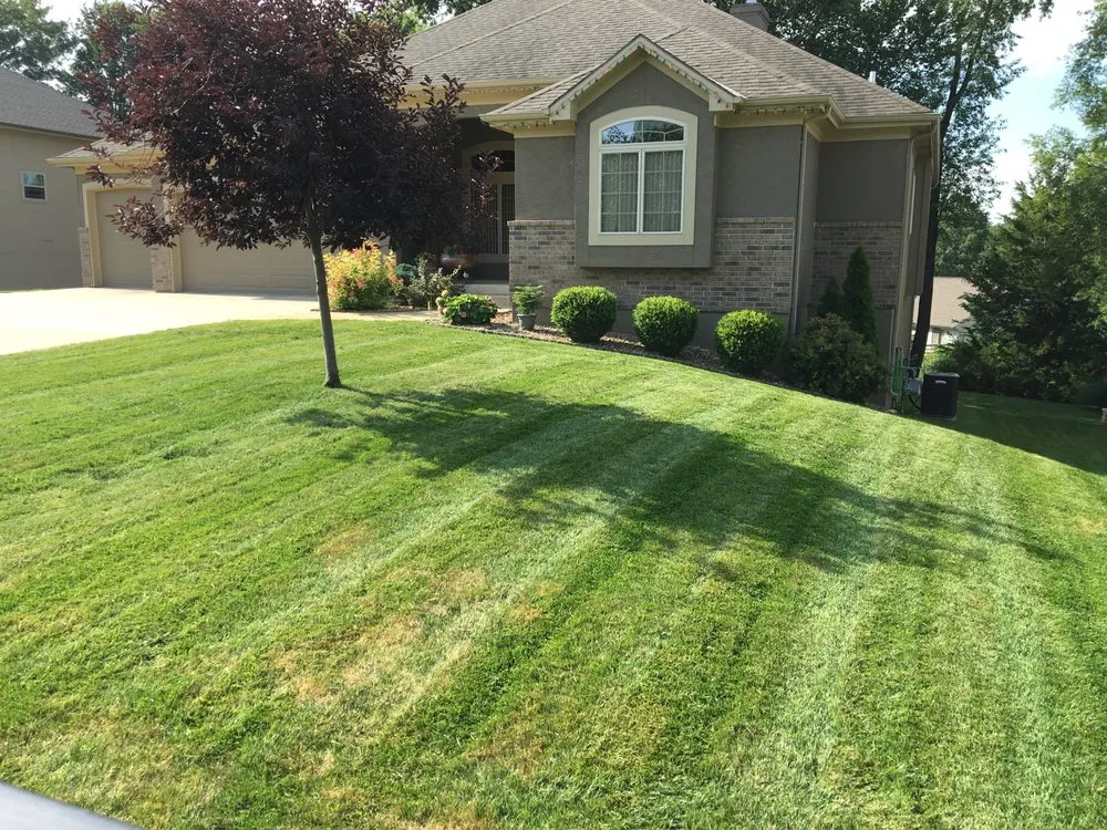 Affordable landscaping services in Shawnee, KS - Dr D Lawn Care