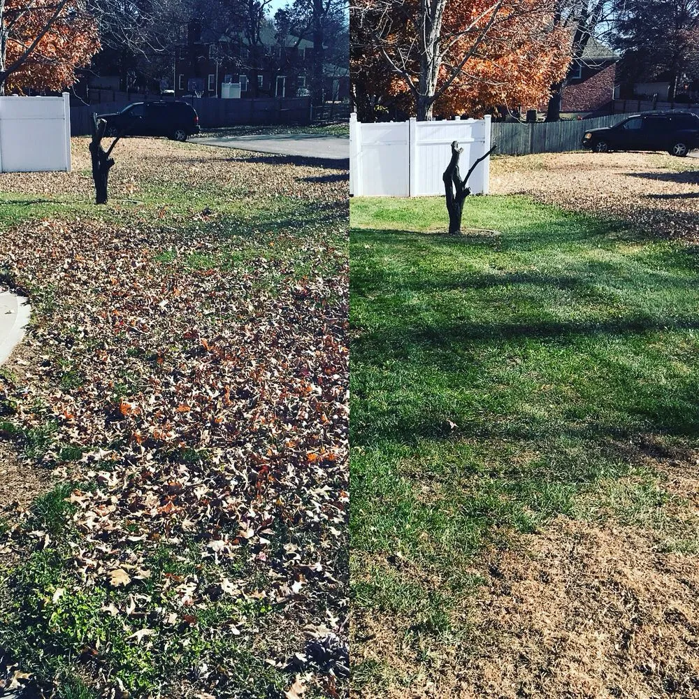 Expert landscape design in Shawnee, KS by Dr D Lawn Care