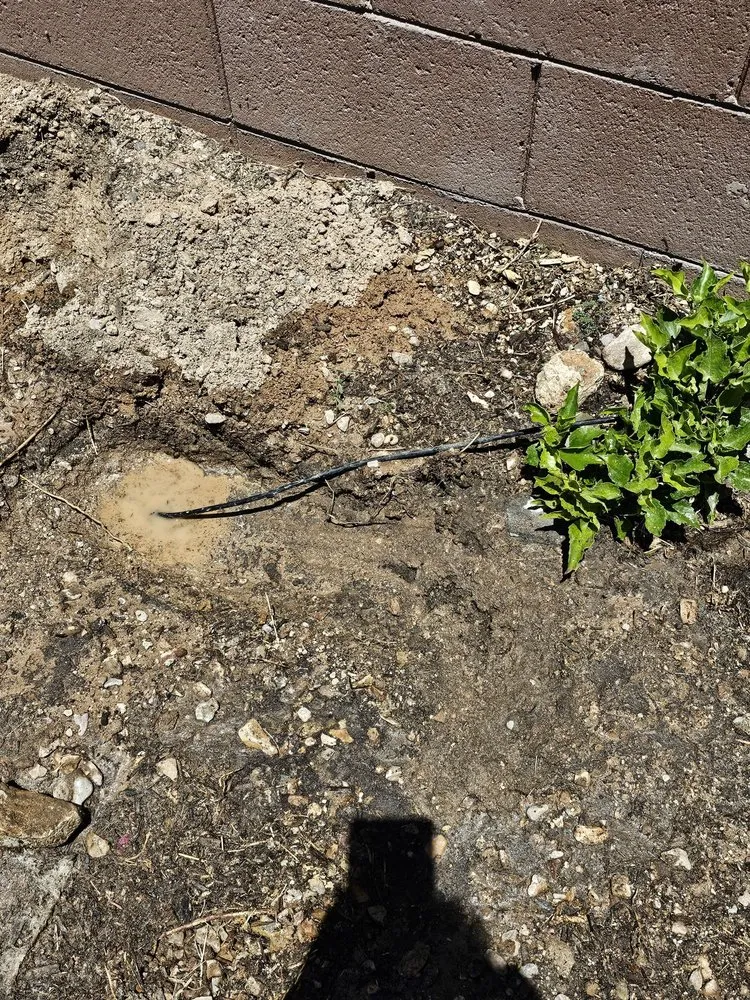 Local yard maintenance for residential properties across Tucson, AZ - Dr Dirt Irrigation and Landscaping