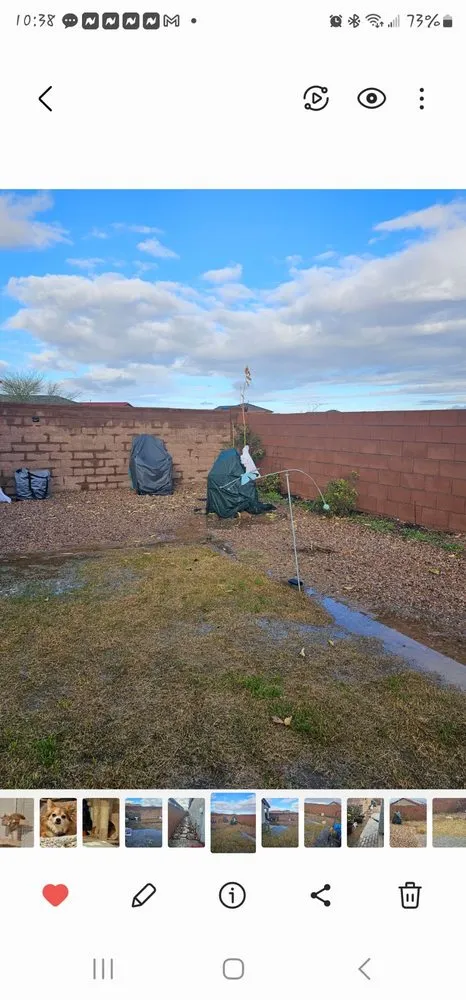 Top-rated yard cleanup service for homes across Tucson, AZ - Dr Dirt Irrigation and Landscaping