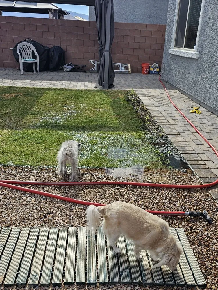 Custom lawn care service for outdoor upgrades across Tucson, AZ - Dr Dirt Irrigation and Landscaping