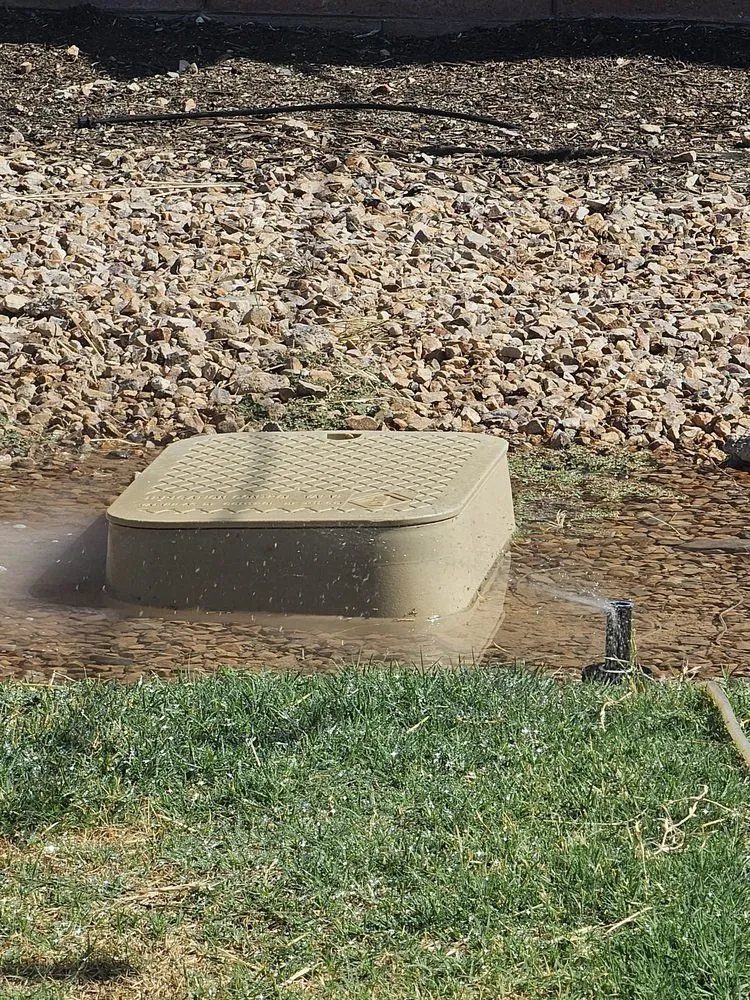 Trusted lawn care service in Tucson, AZ by Dr Dirt Irrigation and Landscaping