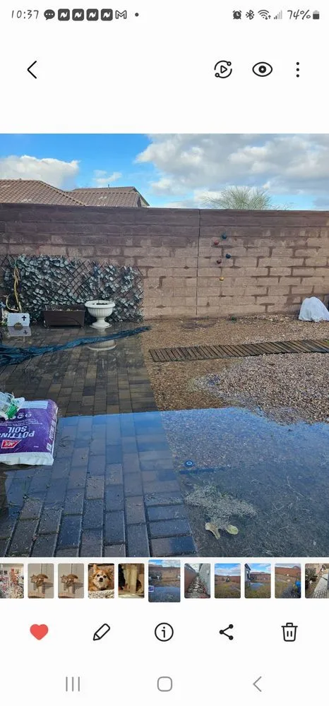 Affordable garden landscaping for residential properties across Tucson, AZ - Dr Dirt Irrigation and Landscaping