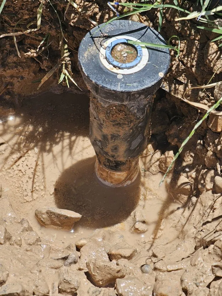 Custom garden landscaping for beautiful yards across Tucson, AZ - Dr Dirt Irrigation and Landscaping