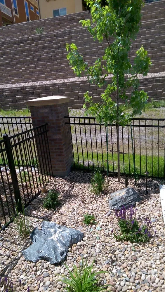 Expert yard cleanup service for outdoor upgrades across Morrison, CO - D&R Finishing Touch