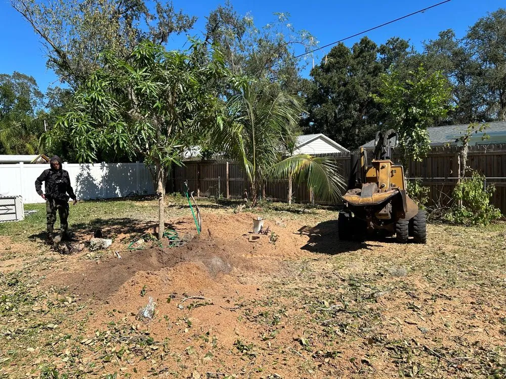 Trusted lawn mowing service in Lutz, FL by DR Florida Multi Services