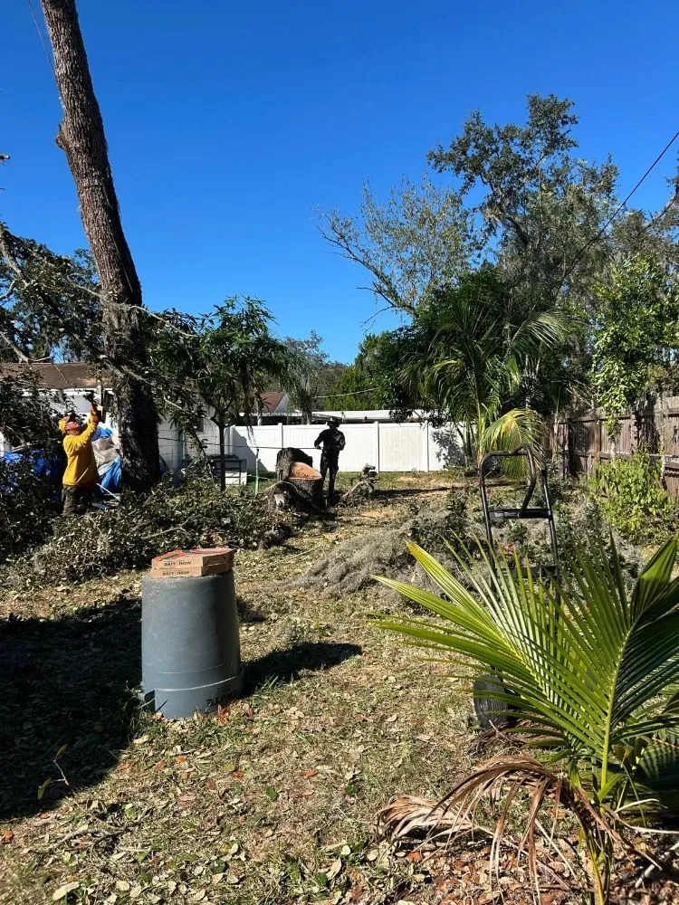 Professional garden landscaping for homes across Lutz, FL - DR Florida Multi Services