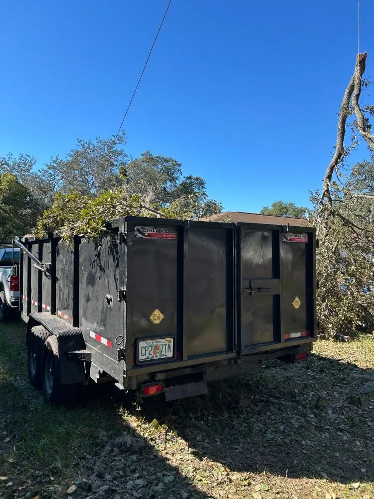 Trusted outdoor landscaping in Lutz, FL - DR Florida Multi Services