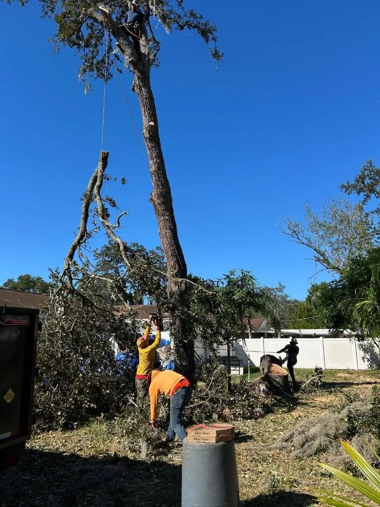 Professional lawn mowing service in Lutz, FL - DR Florida Multi Services