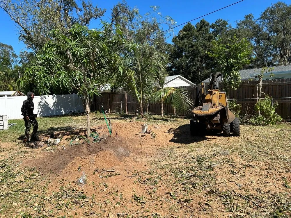 Expert yard maintenance in Lutz, FL - DR Florida Multi Services