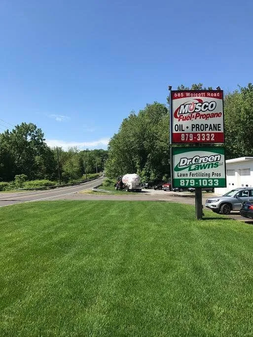 Top-rated outdoor landscaping for homes across Bristol, CT - Dr Green Lawns