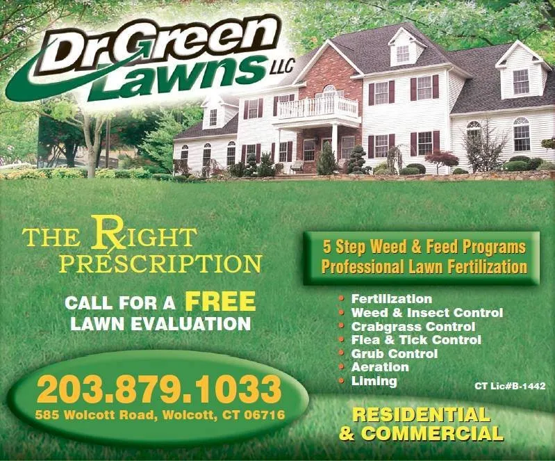 Affordable landscaping services for year-round maintenance in Bristol, CT by Dr Green Lawns