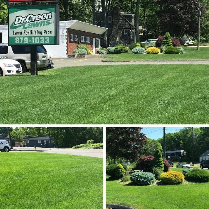 Professional outdoor landscaping in Bristol, CT by Dr Green Lawns