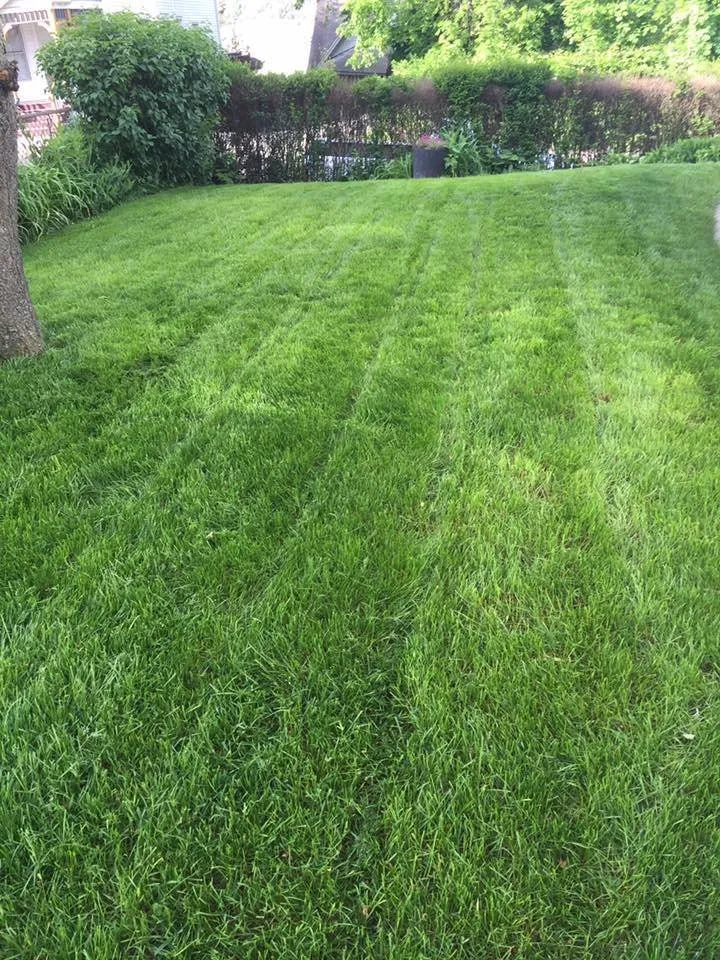 Professional outdoor landscaping in Bristol, CT by Dr Green Lawns