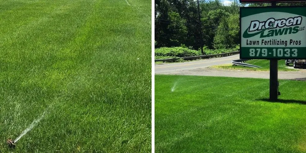 Professional landscape design in Bristol, CT - Dr Green Lawns