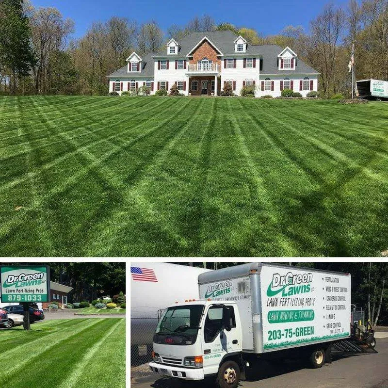 Top-rated outdoor landscaping experts serving Bristol, CT - Dr Green Lawns
