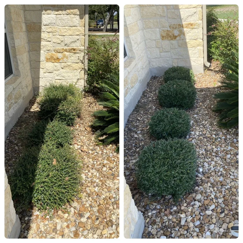 Affordable landscaping services in La Vernia, TX by Dr Green thumb Lawn and Home Care