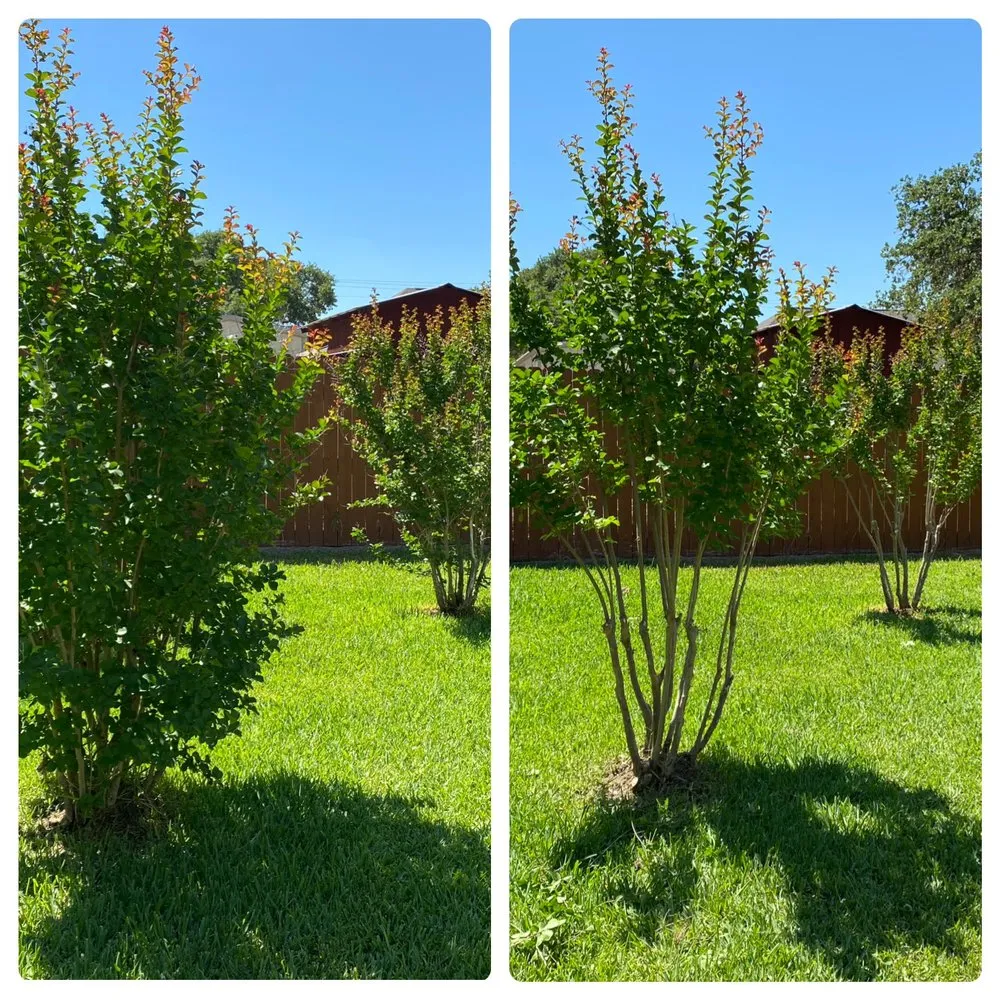 Trusted outdoor landscaping in La Vernia, TX by Dr Green thumb Lawn and Home Care