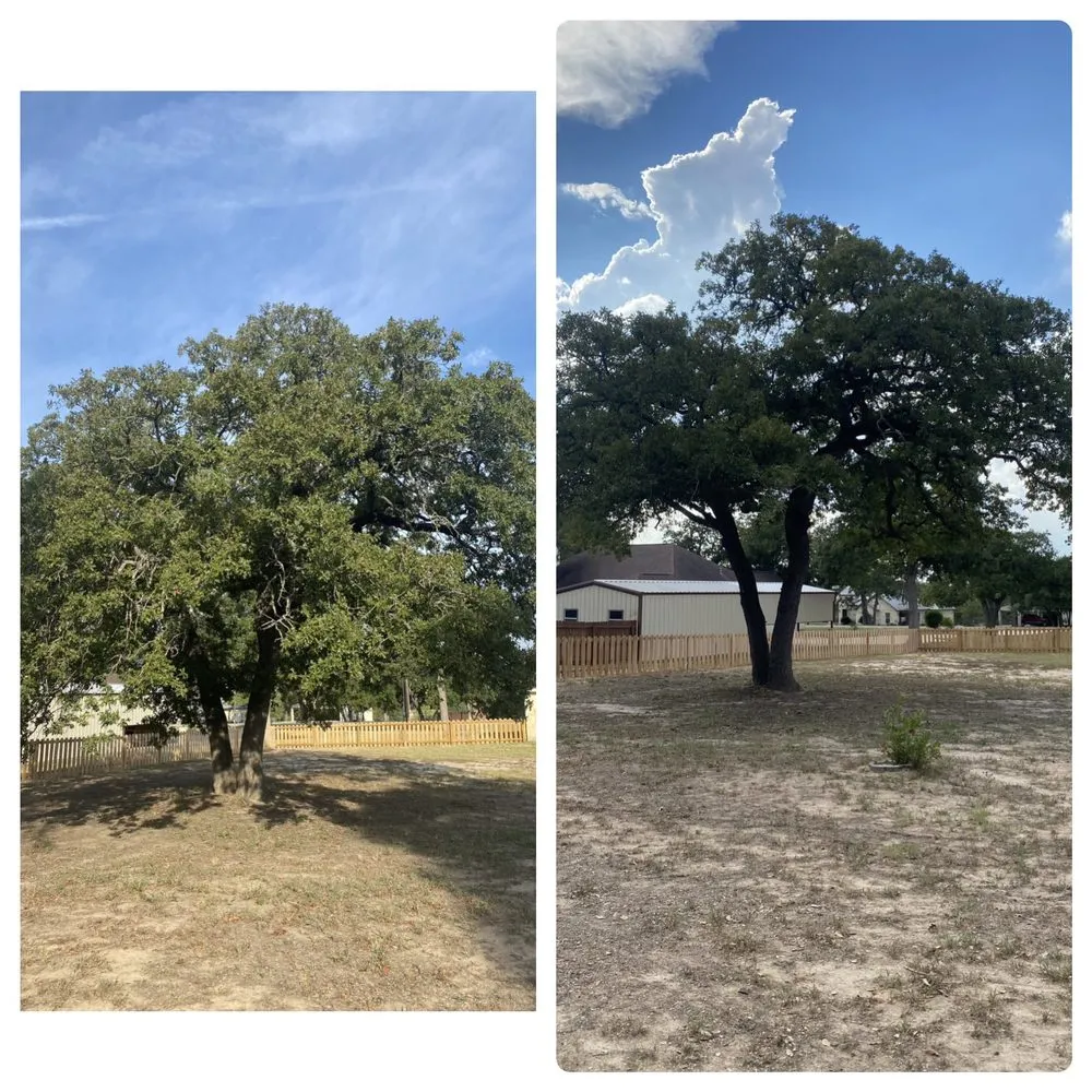 Reliable landscape installation experts serving La Vernia, TX - Dr Green thumb Lawn and Home Care