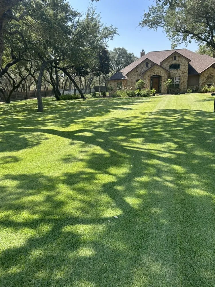 Professional landscape installation experts serving La Vernia, TX - Dr Green thumb Lawn and Home Care