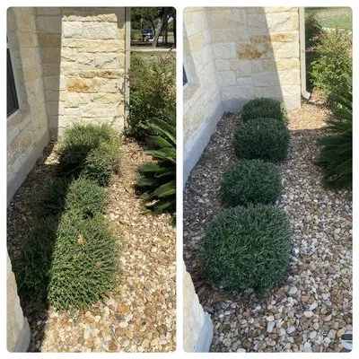 Dr Green thumb Lawn and Home Care