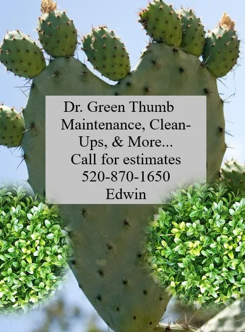 Top-rated yard maintenance for beautiful yards in Tucson, AZ by Dr. Green Thumb