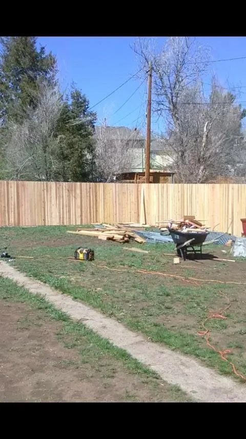 Top-rated landscaping services in Denver, CO - Dr Green Thumbs Handy Man Service