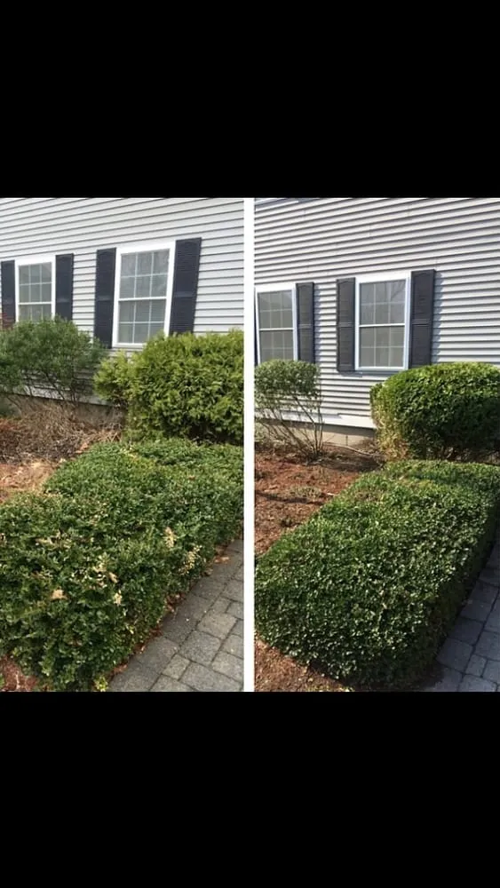 Local landscape design for outdoor upgrades in West Roxbury, MA by Dr GreenThumb Landscaping