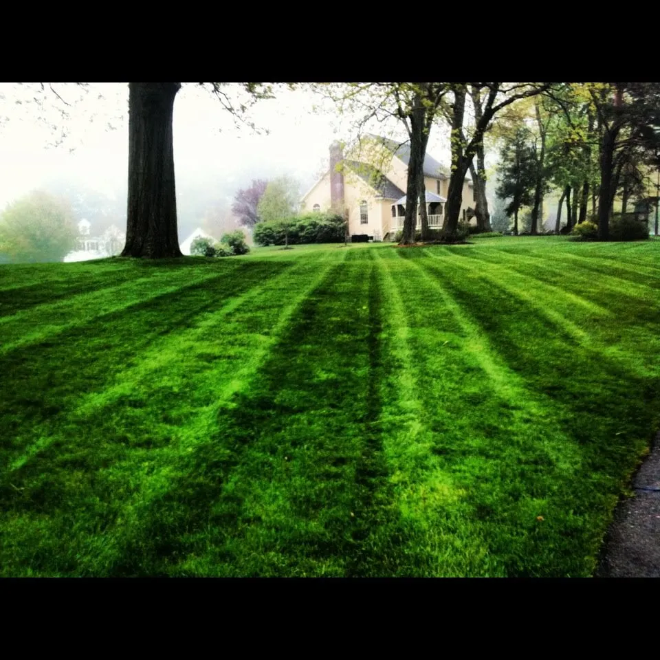 Custom lawn care service in West Roxbury, MA by Dr GreenThumb Landscaping